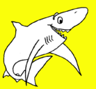 Dibujo Tiburón alegre pintado por natiita