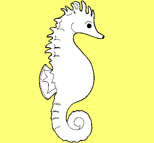 Caballito de mar