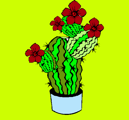 Flores de cactus