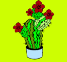 Dibujo Flores de cactus pintado por DESCHI