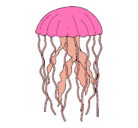 Dibujo Medusa pintado por FCRT