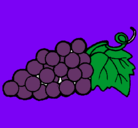Dibujo racimo pintado por uvas 