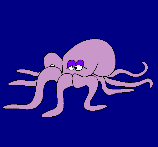 Pulpo