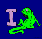 Dibujo Iguana pintado por blume
