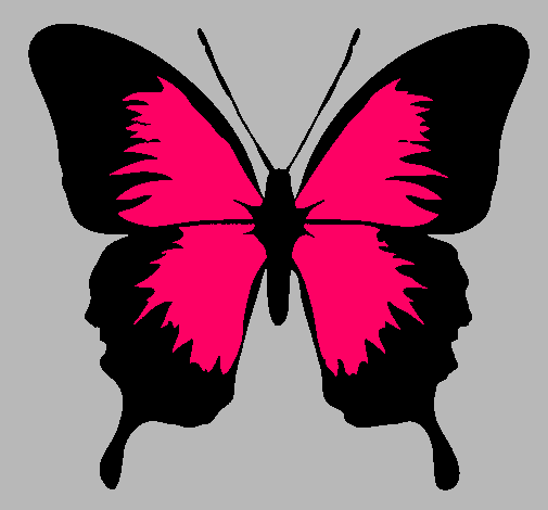 Dibujo Mariposa con alas negras pintado por kool