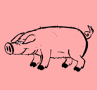 Dibujo Cerdo con pezuñas negras pintado por Mariella