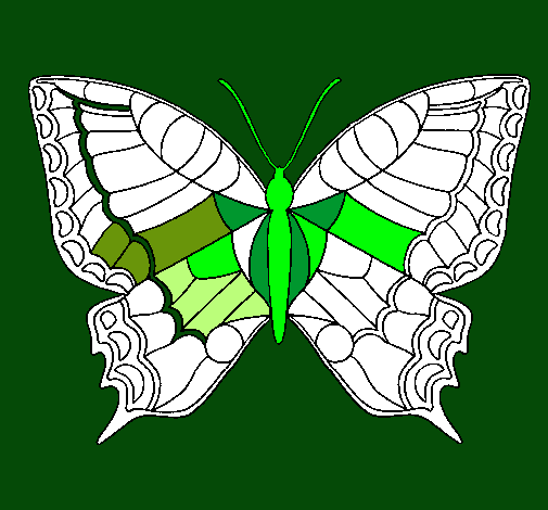 Mariposa