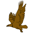 Dibujo Águila volando pintado por davidbaena