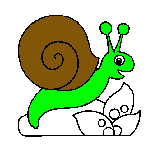 Caracol