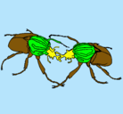 Dibujo Escarabajos pintado por heeeeeeeeeee