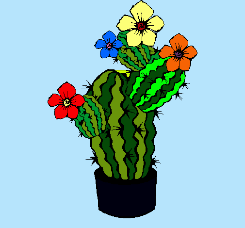 Flores de cactus