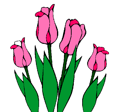 Tulipanes