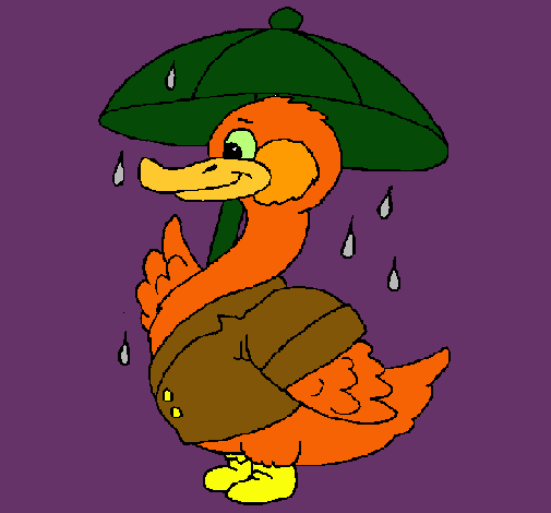 Pato bajo la lluvia