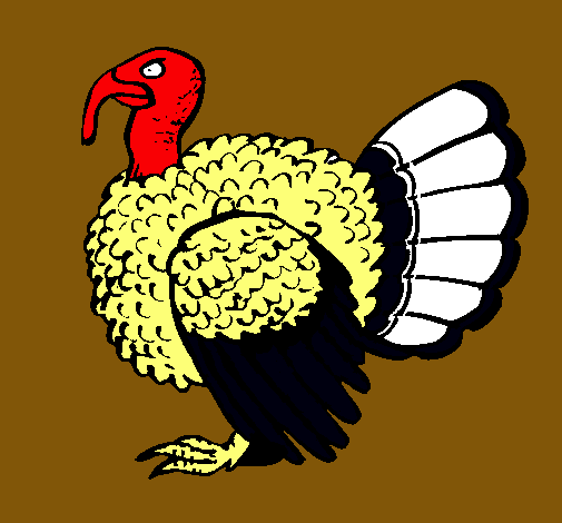 Pavo 