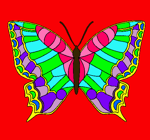 Mariposa