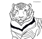 Dibujo Tigre pintado por genesis