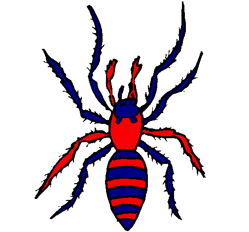 Araña tigre