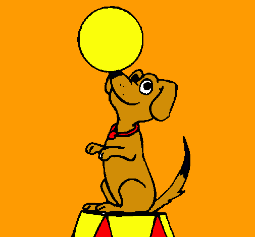 Perro de circo