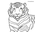 Dibujo Tigre pintado por pasber