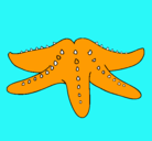 Dibujo Estrella de mar pintado por ibel