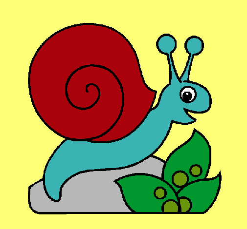 Caracol