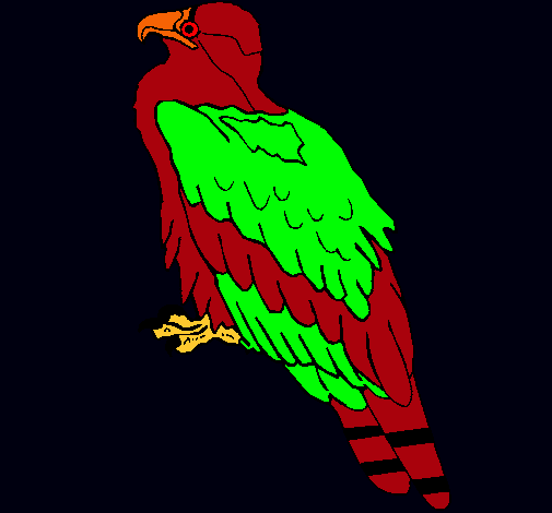 Águila