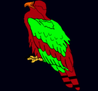 Dibujo Águila pintado por alexan