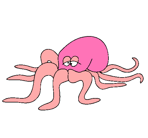 Pulpo