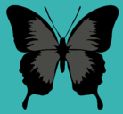 Dibujo Mariposa con alas negras pintado por maki