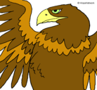 Dibujo Águila Imperial Romana pintado por avatar
