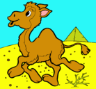 Dibujo Camello pintado por currichipand