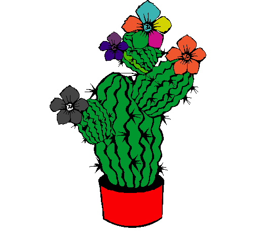 Flores de cactus