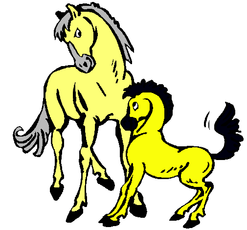 Caballos