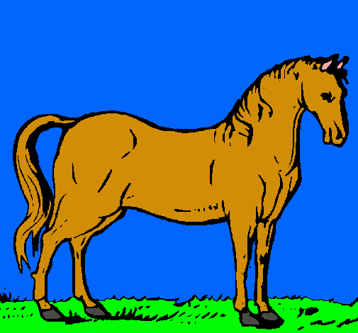 Caballo andaluz