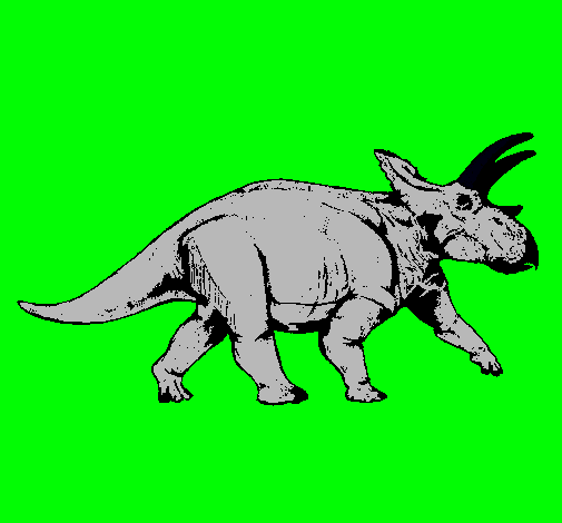 Triceratops