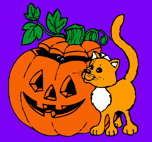 Calabaza y gato