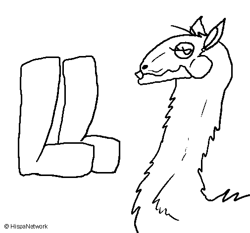 Llama