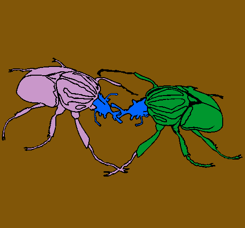 Dibujo Escarabajos pintado por emicaqui