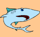Dibujo Tiburón pintado por daviiiiiiiii