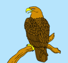 Dibujo Águila en una rama pintado por felipa