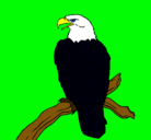 Dibujo Águila en una rama pintado por kenin