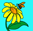 Dibujo Margarita con abeja pintado por adolfina
