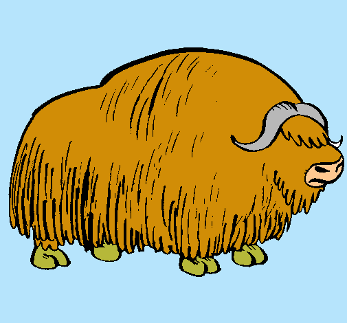 Bisonte