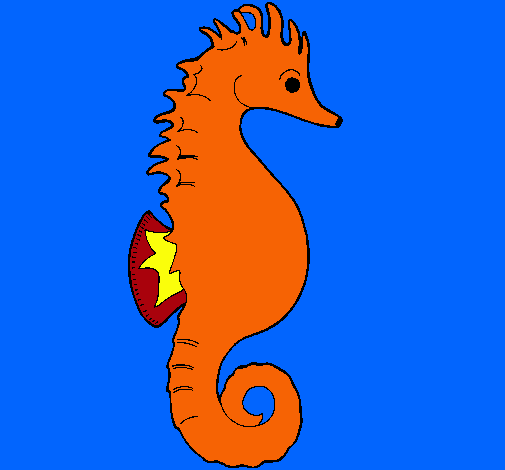 Caballito de mar