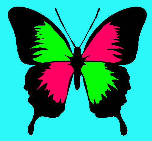 Dibujo Mariposa con alas negras pintado por kamiih