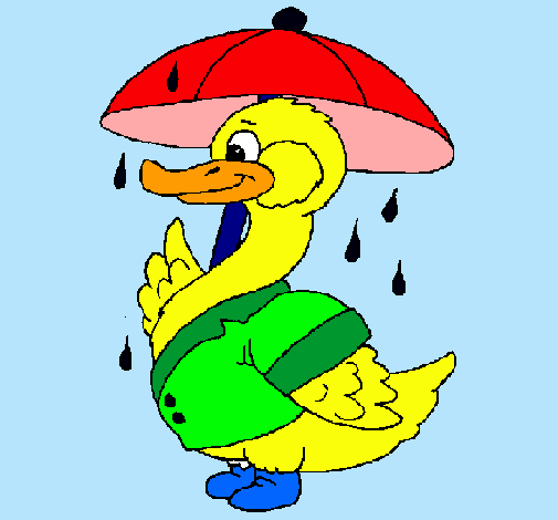 Pato bajo la lluvia