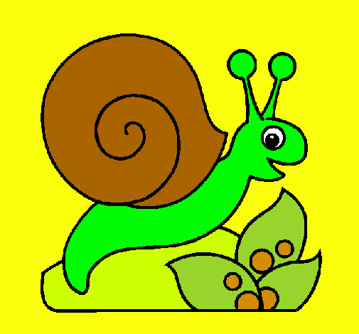 Caracol