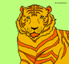 Dibujo Tigre pintado por Manases