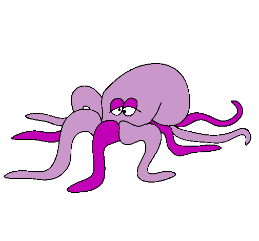 Pulpo