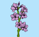 Dibujo Flores de campo pintado por karito2611